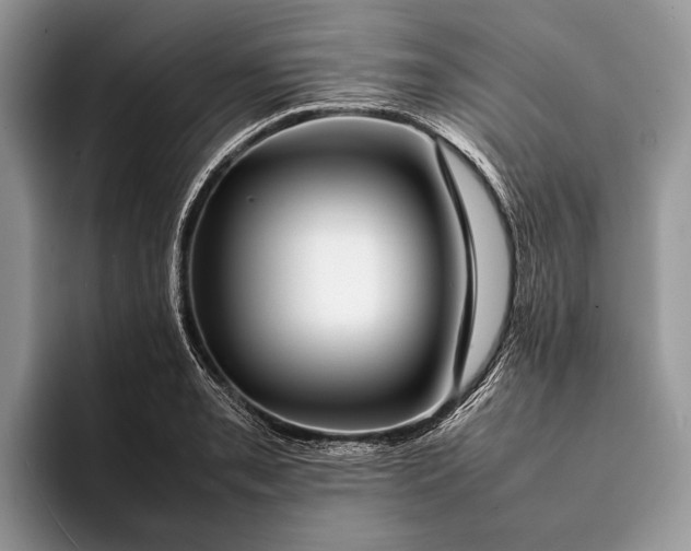 X0000093161085200710171205
