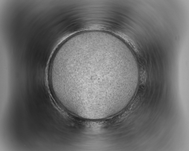 X0000093161086200710171205