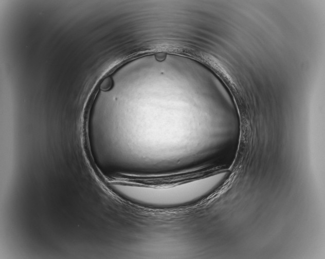 X0000093161087200710171205