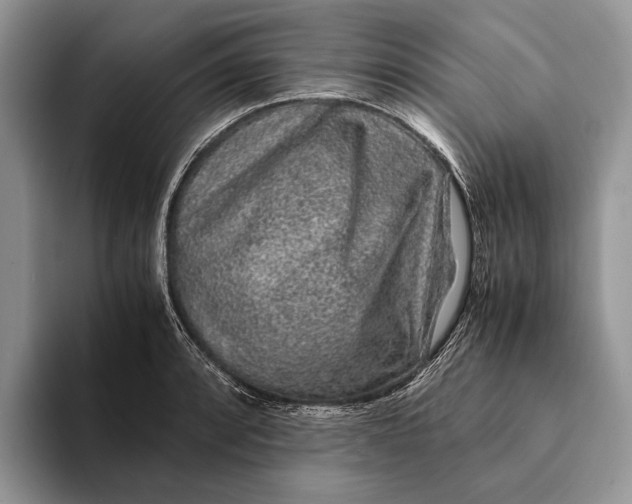 X0000093161088200710171205
