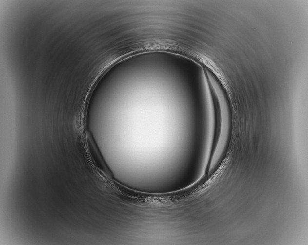 X0000093161089200710171205