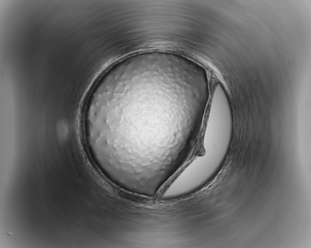 X0000093161091200710171205