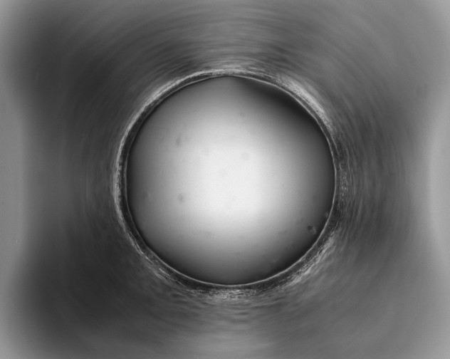 X0000093161093200710171205