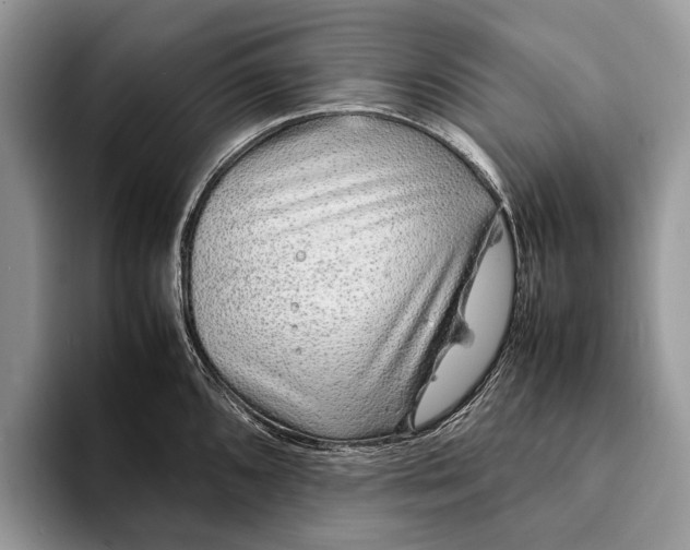 X0000093161096200710171205