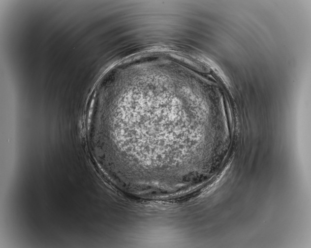 X0000093161097200710171205