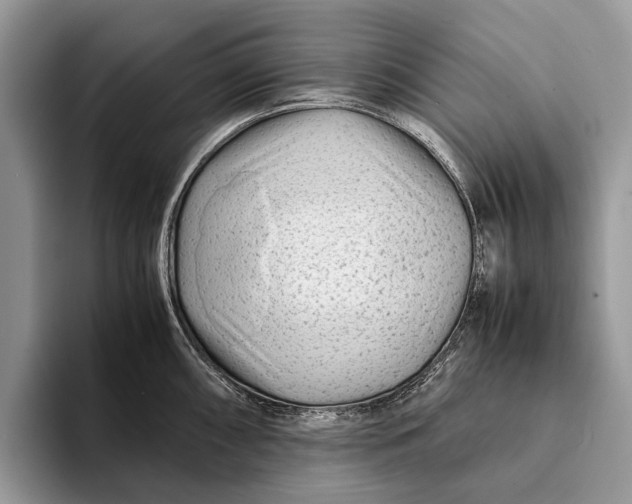 X0000093161098200710171205