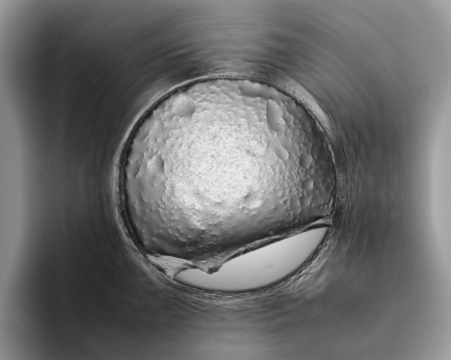 X0000093161099200710171205