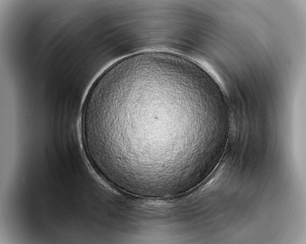 X0000093161100200710171205