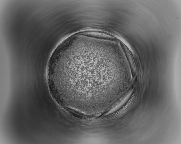 X0000093161101200710171205