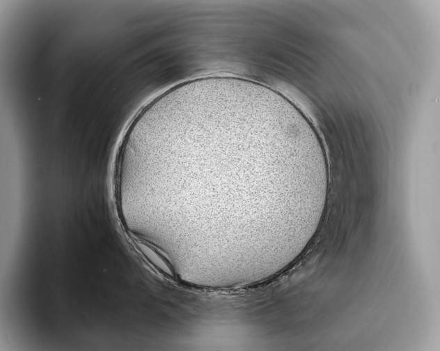 X0000093161104200710171205