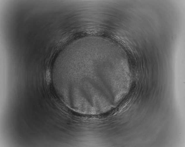 X0000093161106200710171204