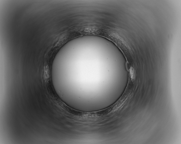 X0000093161107200710171204