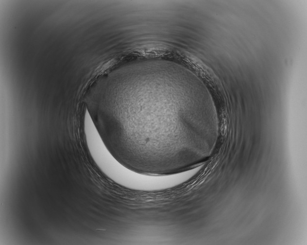 X0000093161108200710171204