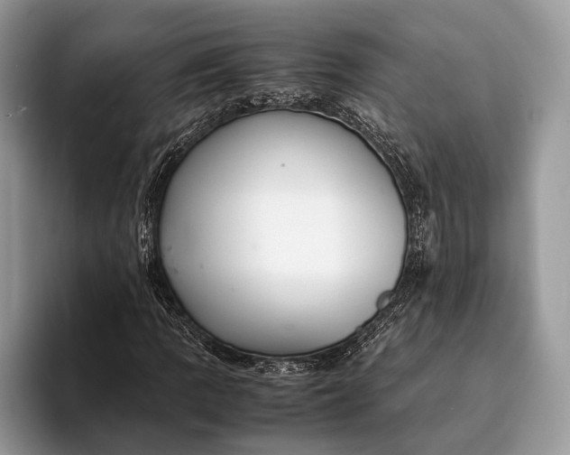 X0000093161109200710171204
