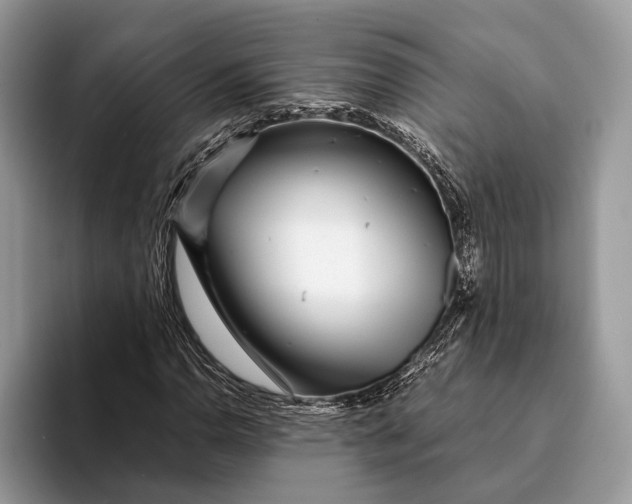 X0000093161110200710171204