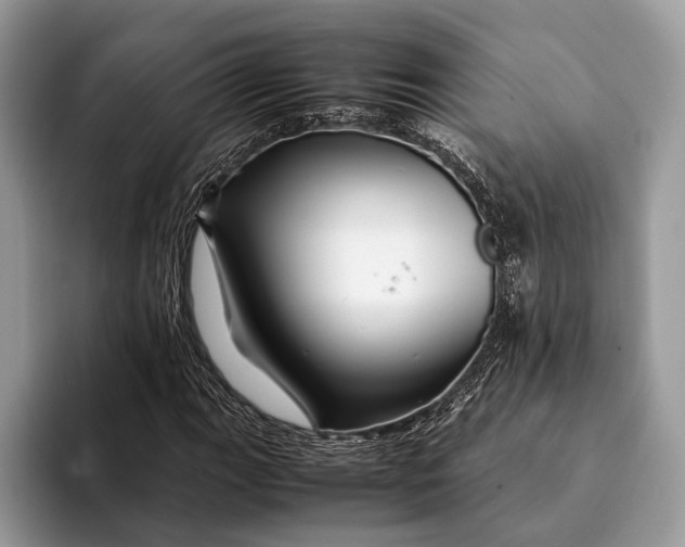 X0000093161111200710171204
