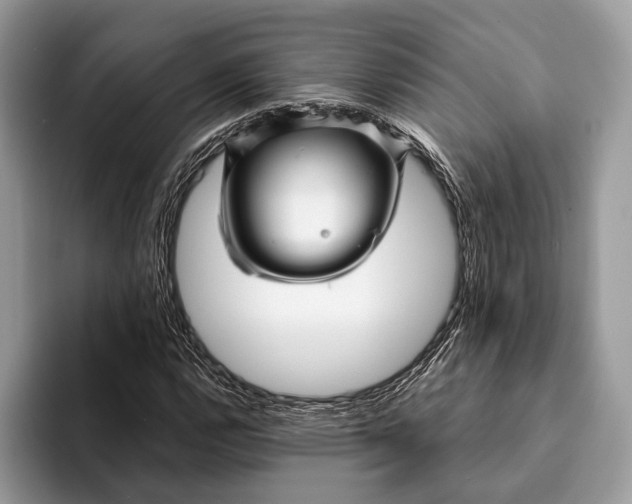 X0000093161112200710171204