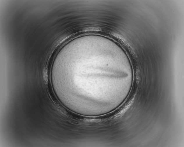 X0000093161113200710171205