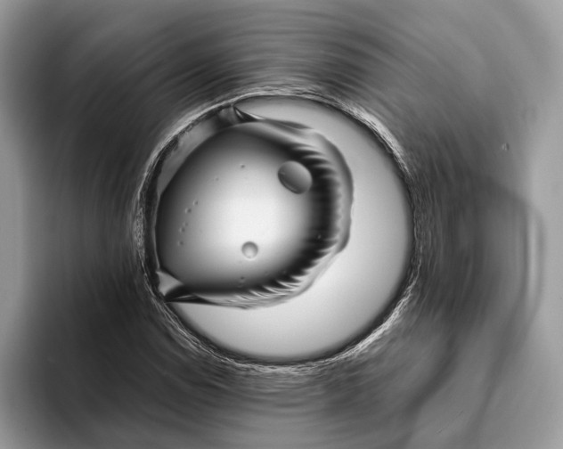 X0000093161114200710171205