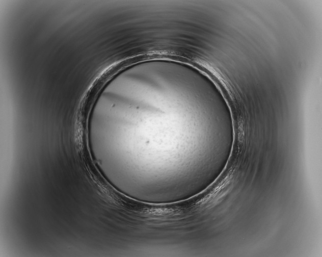 X0000093161115200710171205