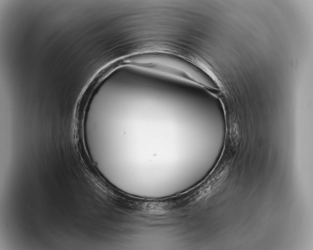 X0000093161116200710171205