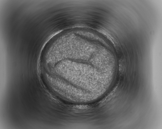 X0000093161117200710171205