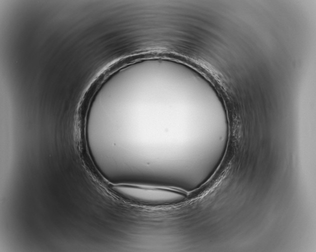 X0000093161118200710171205