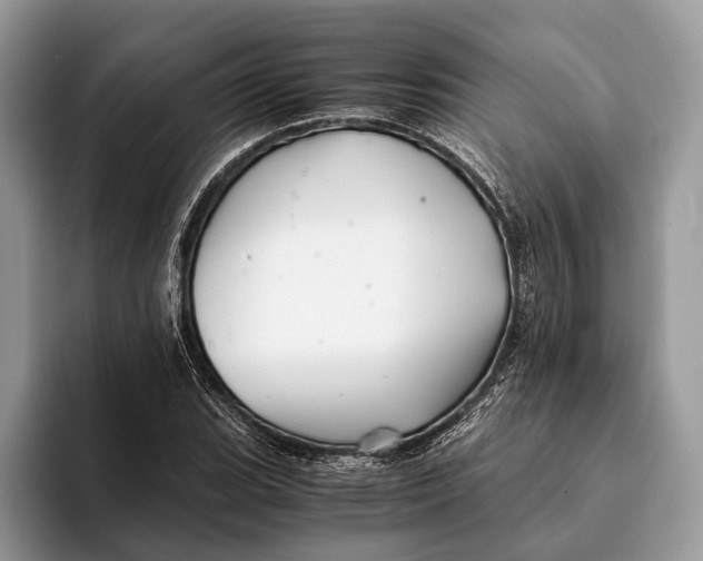 X0000093161119200710171205