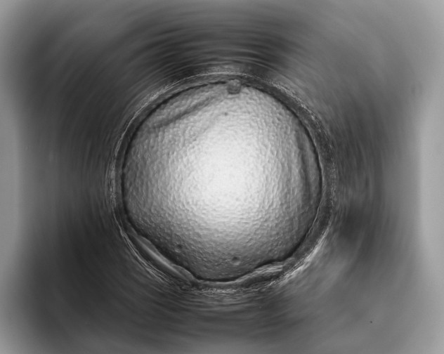 X0000093161121200710171205