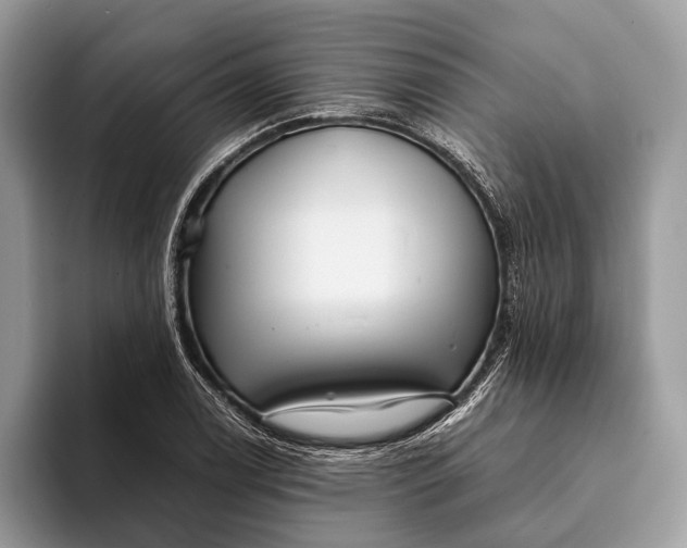 X0000093161122200710171205
