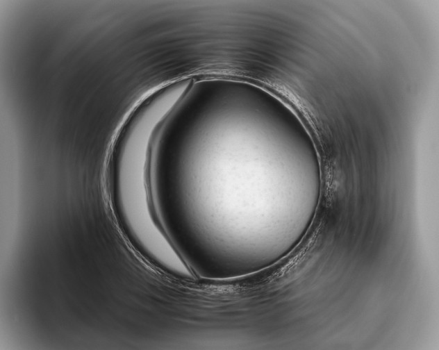 X0000093161123200710171205