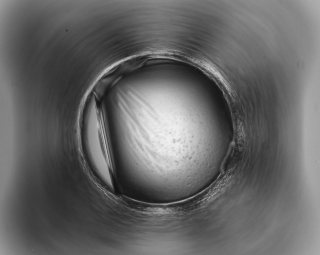 X0000093161124200710171205