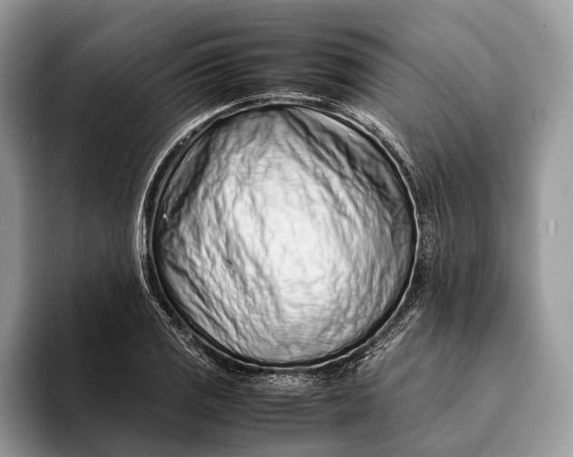 X0000093161125200710171205