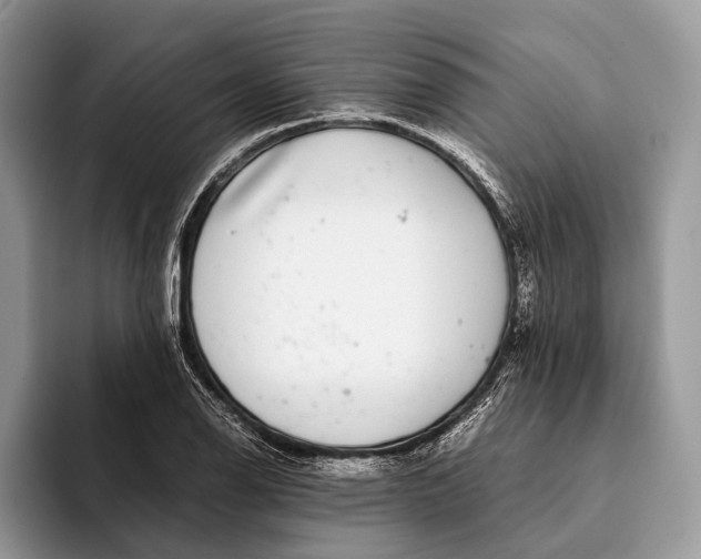 X0000093161126200710171205
