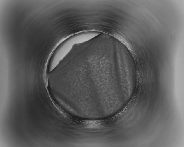 X0000093161127200710171205