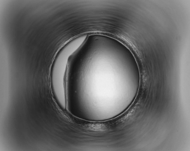 X0000093161129200710171205