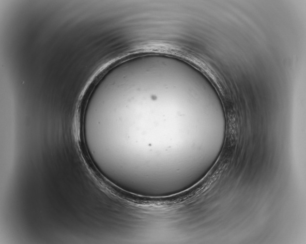 X0000093161131200710171205