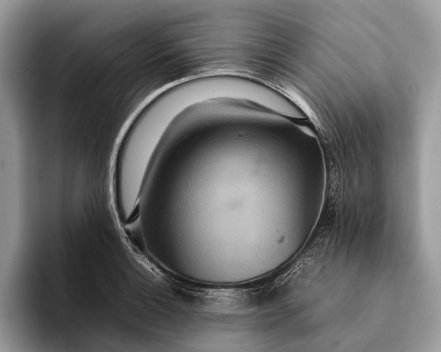 X0000093161132200710171205