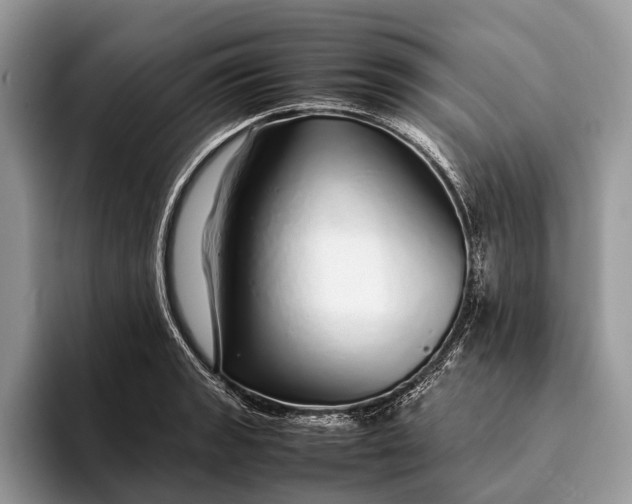 X0000093161133200710171205