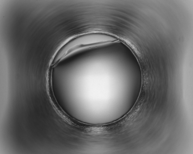 X0000093161134200710171205
