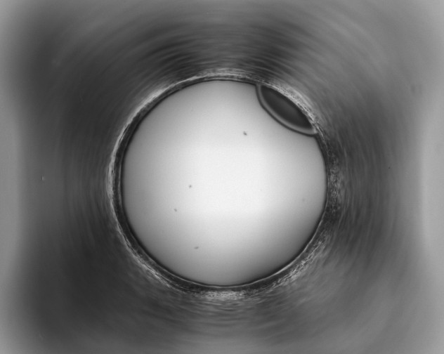 X0000093161135200710171205