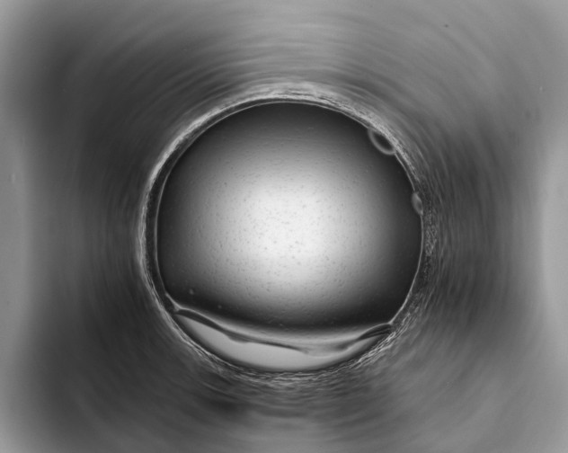 X0000093161139200710171205
