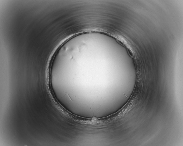 X0000093161140200710171205