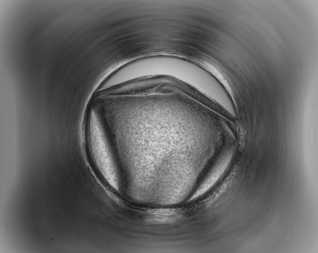 X0000093161141200710171205
