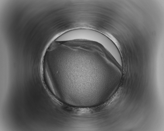 X0000093161144200710171205