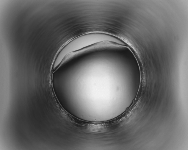 X0000093161145200710171205