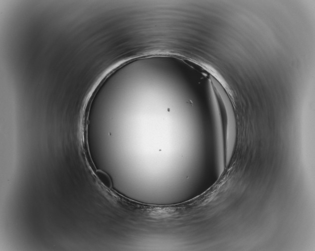 X0000093161148200710171205