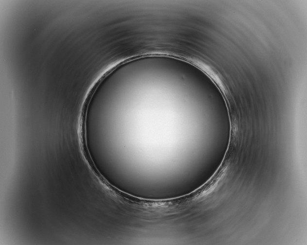 X0000093161149200710171205