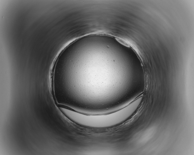 X0000093161151200710171205