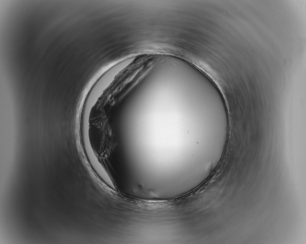 X0000093161152200710171205